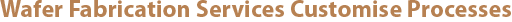 Wafer Fabrication Services Customise Processes