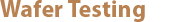 Wafer Testing