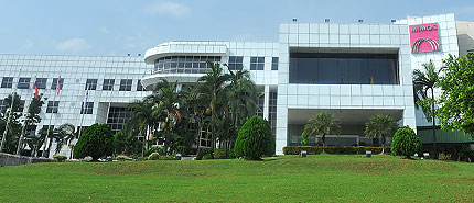 The Company