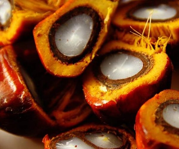 Analysing crude palm oil with light